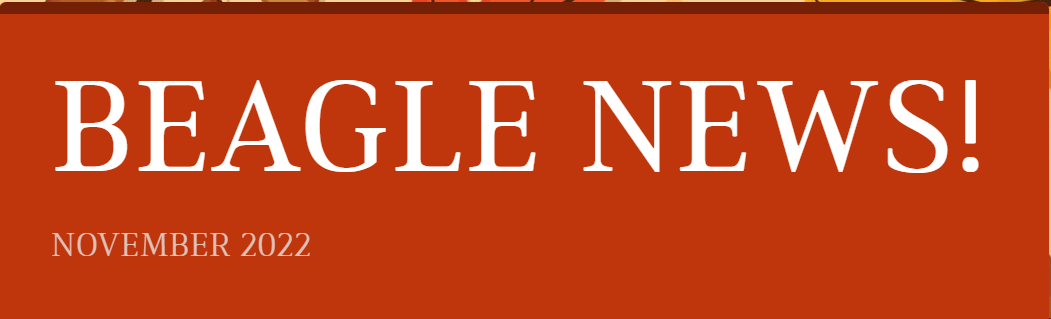 Beagle News November